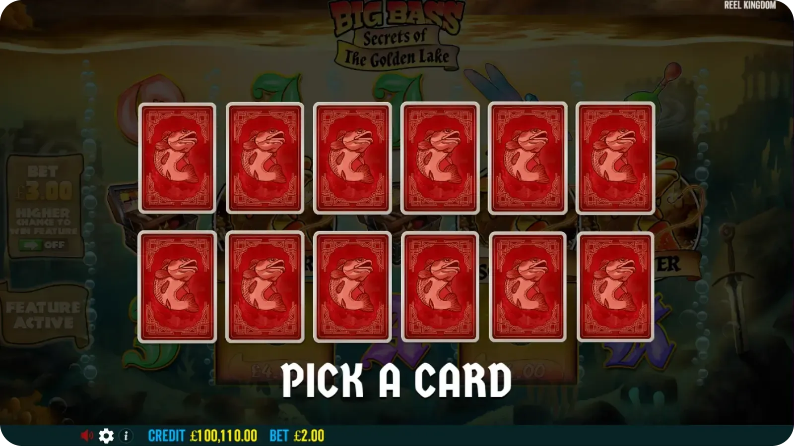 12 cards with random bonuses are shown to a player before Free Spins start