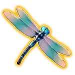 Dragonfly symbol